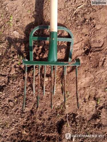 Копать лопатой: как быстро перекопать заросший участок на огороде, вырыть яму или траншею? как правильно копать мерзлую землю?