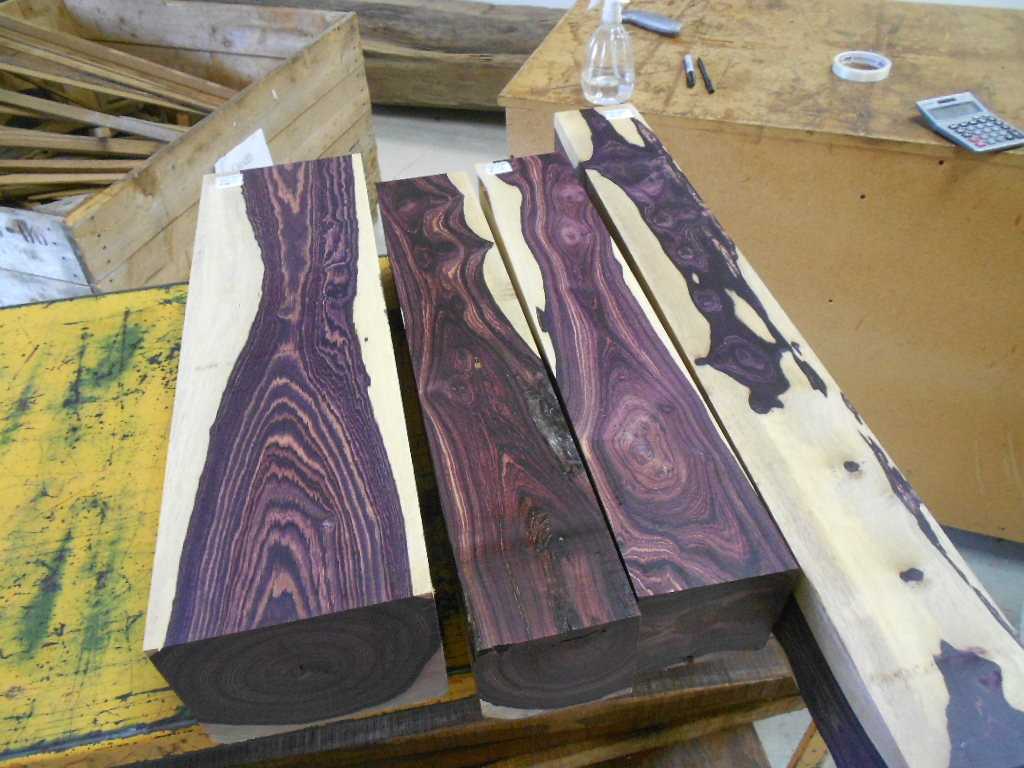 Самые ценные породы древесины: описание, виды и применение