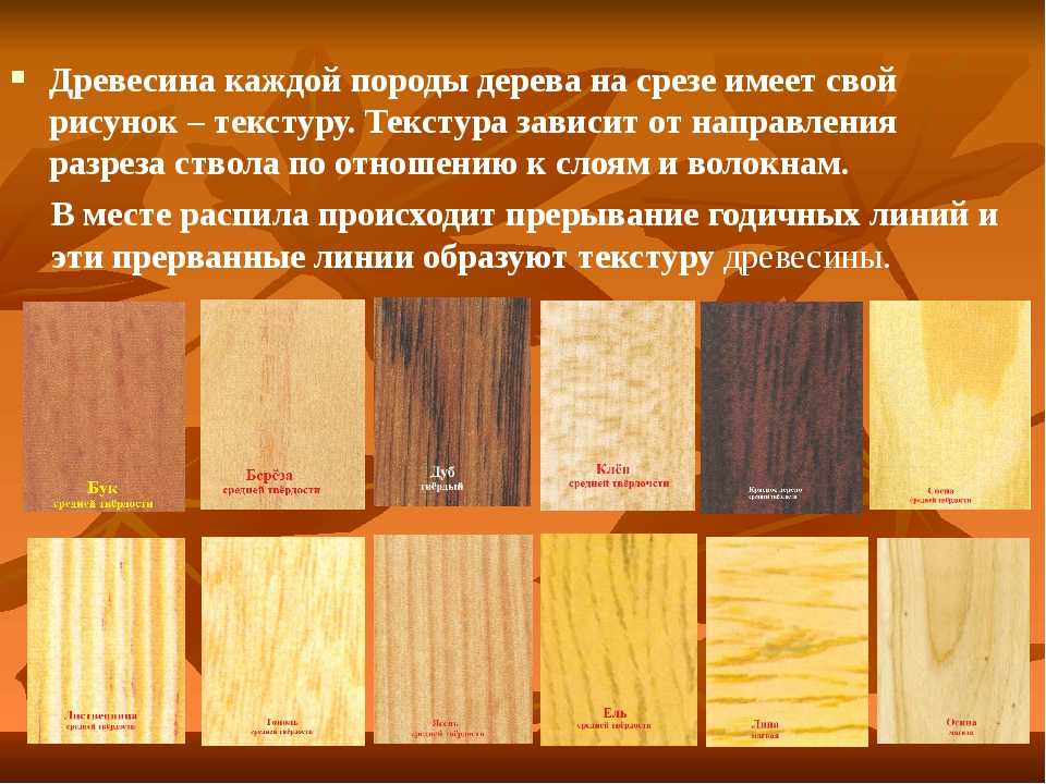 6. технологические свойства древесины. материаловедение: конспект лекций [litres]