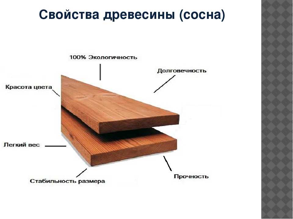 Твердые породы древесины, сорта, свойства и применение