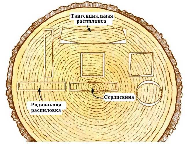 С какой целью и какими методами выполняется сушка древесины Какие пороки древесных пиломатериалов образуются при сушке, какими бывают способы их устранения