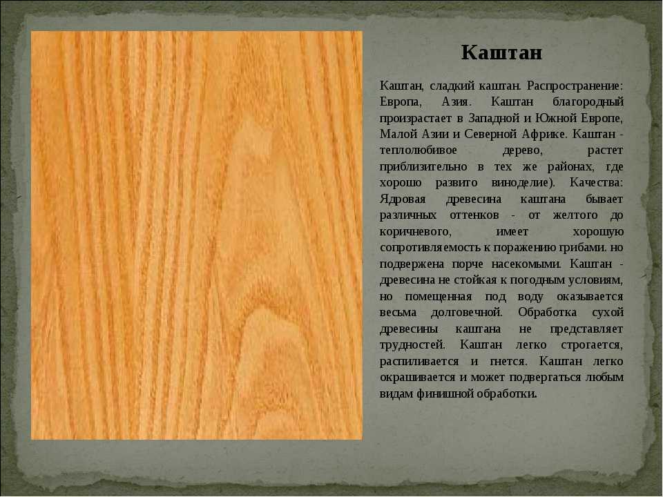 Что такое красное дерево? :: syl.ru