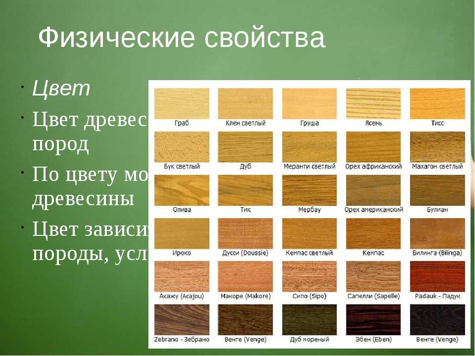 Древесина лиственницы: свойства, характеристики и цвета (фото)