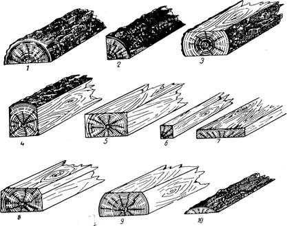 Качество древесины и лесопродукции. часть 3