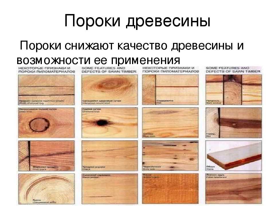 Пороки строения древесины [1974 - - круглые лесоматериалы. справочник]