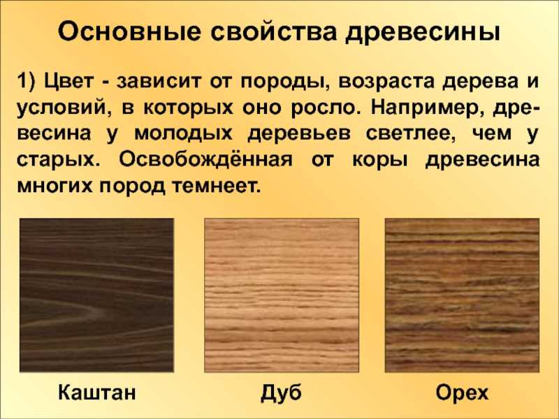 Области использования древесины бука и основные изделия из него
