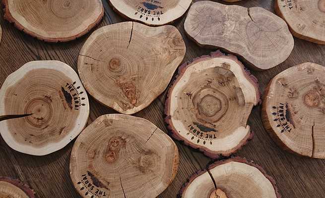 Сушка древесины: какие пороки древесных пиломатериалов образуются при сушке? какими бывают способы? вакуумная и камерная сушка, другие методы