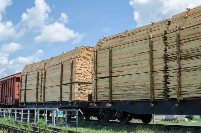 Особенности перевозки леса и лесоматериалов железнодорожным транспортом