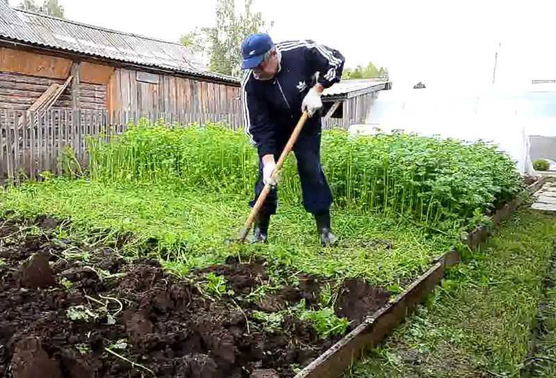 Чем копать землю вместо лопаты: лучшая современная техника
