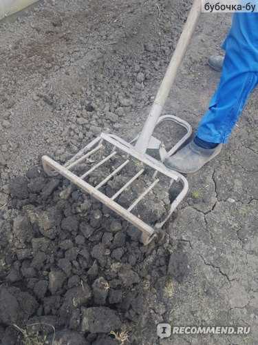 Как выбрать лопату для работы в огороде и в саду