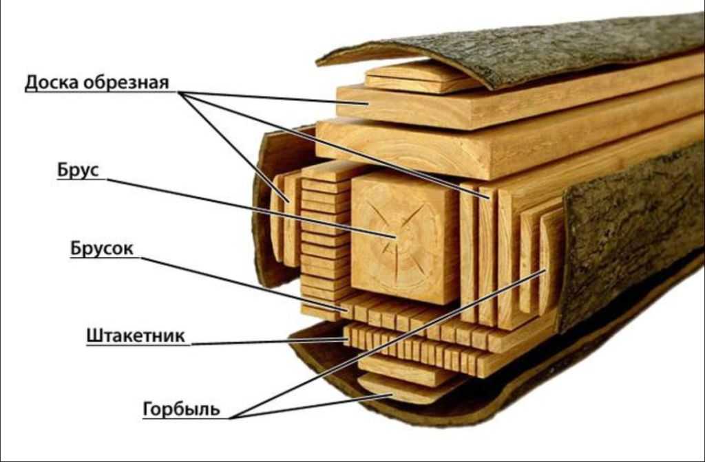 Мягкие породы древесины: хвойные и лиственные сорта