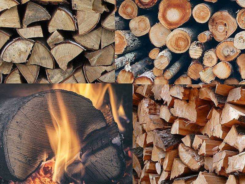 Какими дровами лучше топить баню, обзор разных пород древесины
