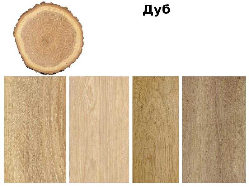 Изготовление мебели из дерева: выбор породы, раскрой, сборка