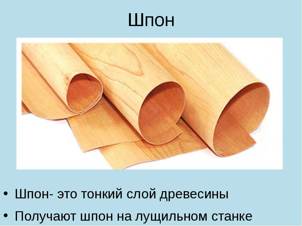 Шпон: что это такое, виды, производство и применение | строительство. деревянные и др. материалы