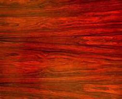 Дерево падук — основные  характеристики африканской древесины. Влажность, прочность, плотность, цвет и другие свойства  красного бирманского дерева. Где используют  шпон и доски из падука