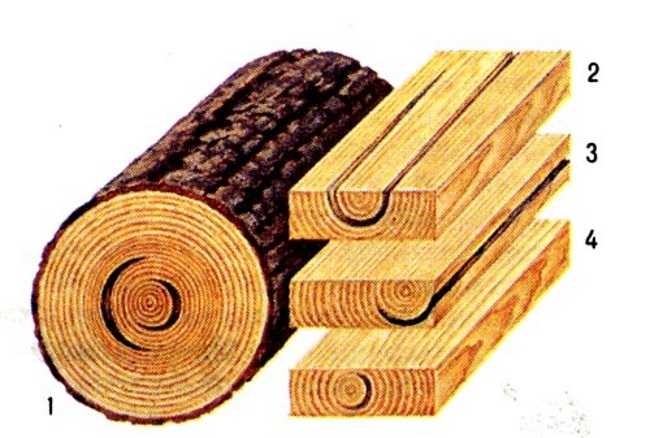 Вакуумная сушка древесины с использованием профессионального оборудования и самодельная сушилка