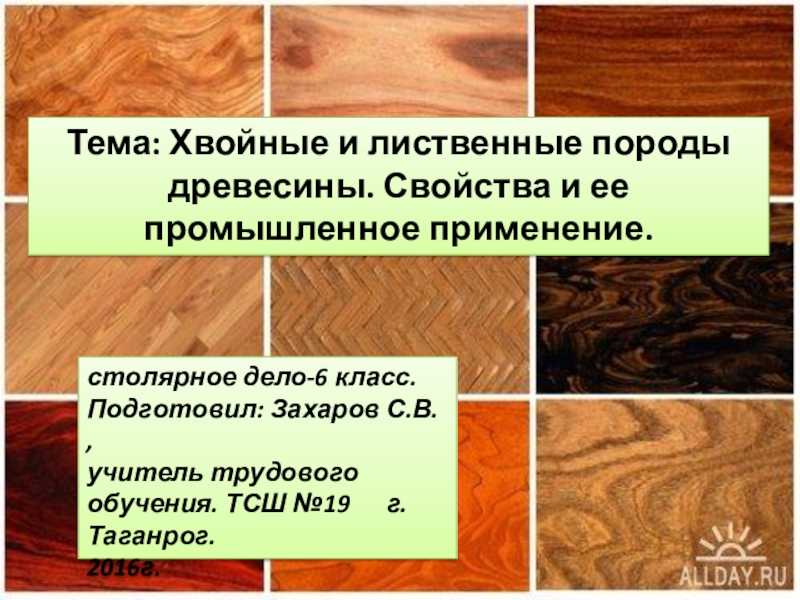 Дерево для мебели: самая дорогая древесина. из какого массива лучше делать? виды и породы для изготовления мебели, текстура