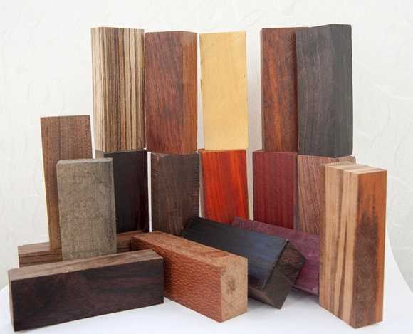 Самая дорогая древесина в мире: цена, фото