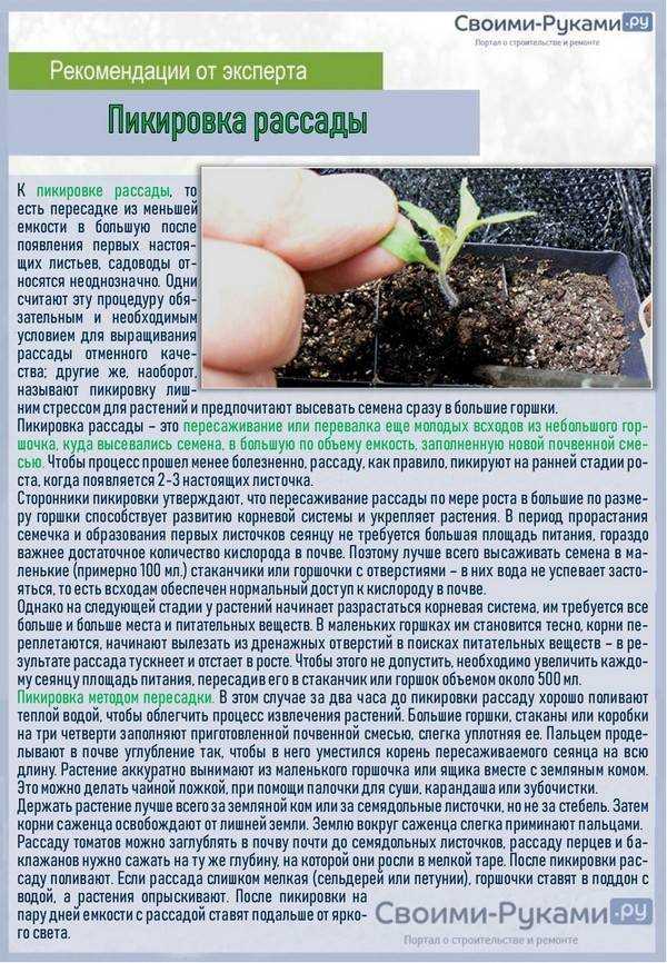 Минеральная вата для растений: особенности применения