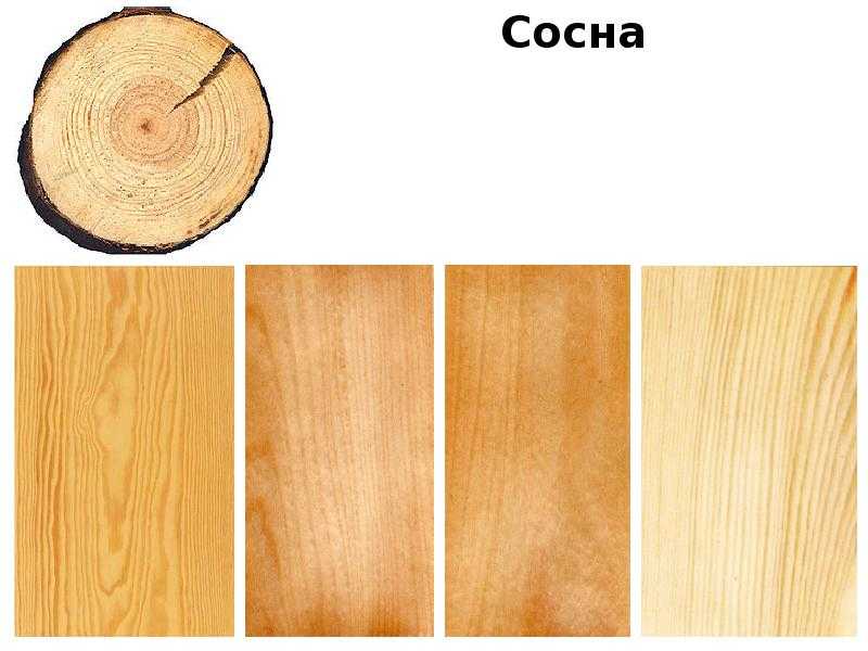 Дерево для мебели: самая дорогая древесина. из какого массива лучше делать? виды и породы для изготовления мебели, текстура