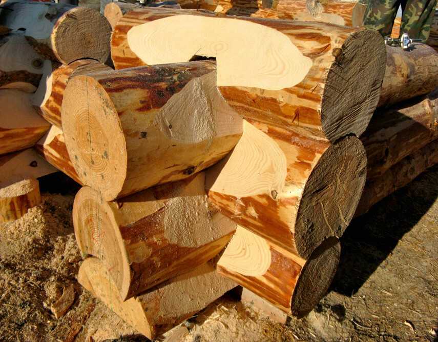 Сорта древесины пиломатериалов