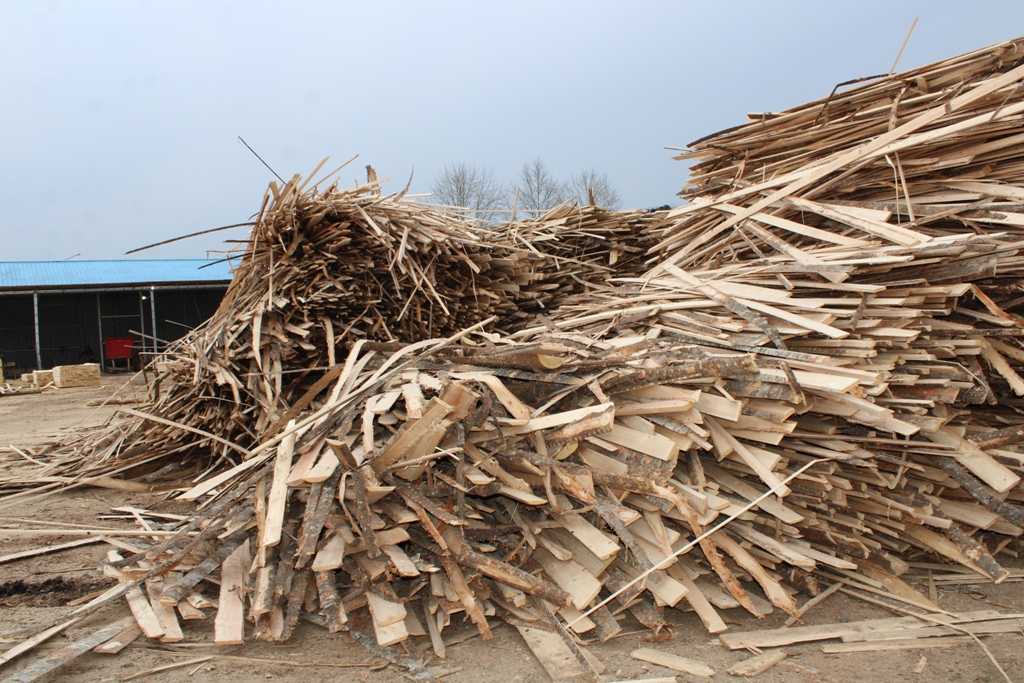 Классификация древесных отходов и технологии вторичной переработки