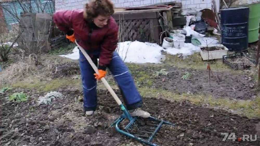 Вилы для копки земли – альтернативный инструмент для работ в саду и огороде