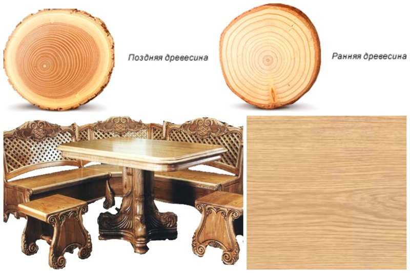 Плотность бука. особенности, применение и технологические свойства древесины