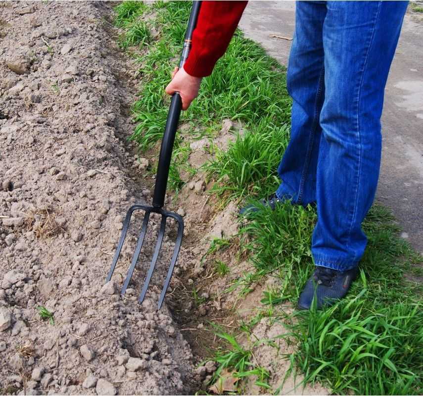 Чудо-лопата: принцип работы копалки, разновидности и преимущества умного инструмента для копки огорода
