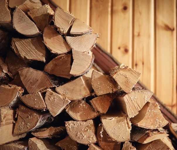 Какими дровами лучше топить печь