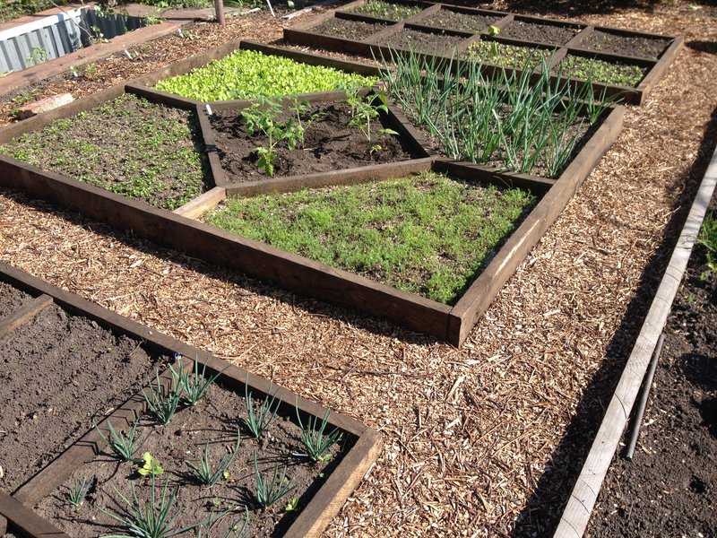 Применение керамзита на даче: как использовать для растений в садоводстве? для чего еще нужен керамзит? использование на огороде