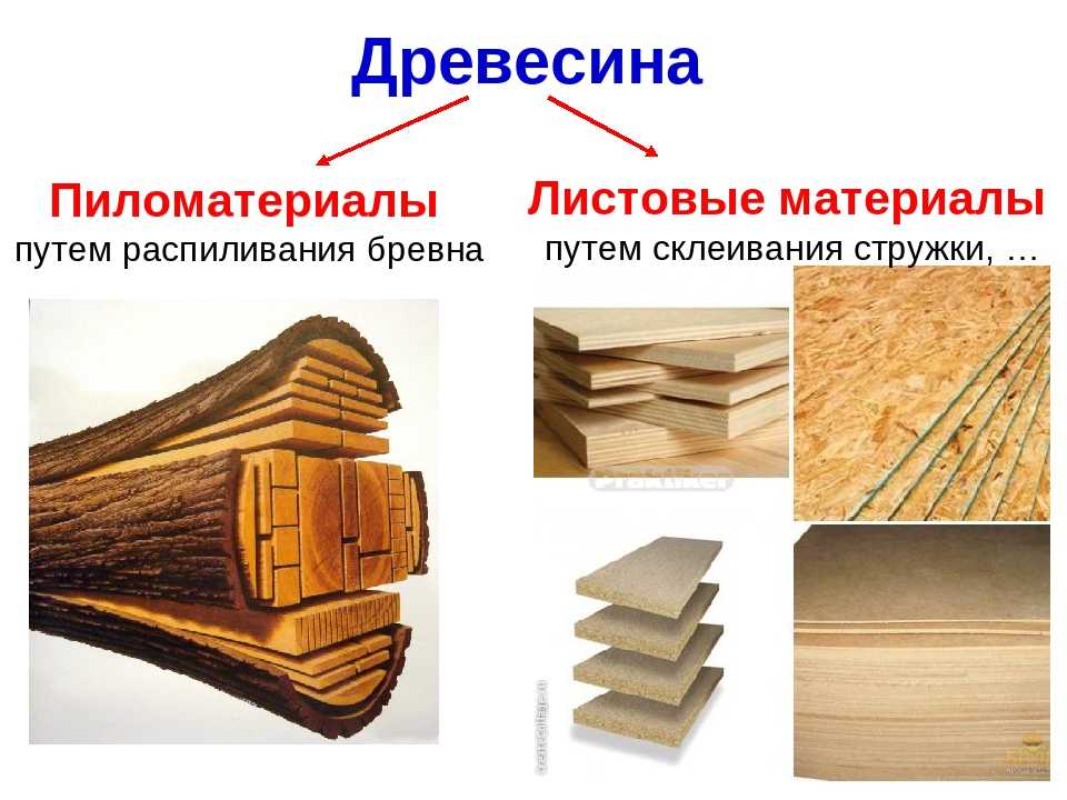 Древесина. свойства, характеристики древесины как конструкционного материала