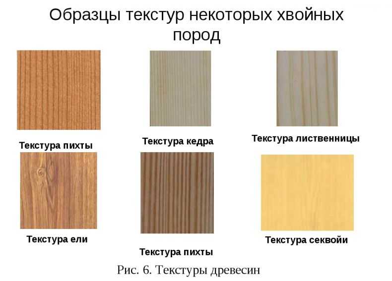 Лдсп цвета «ясень шимо» (35 фото): светлый и темный цвета мебели, другие оттенки белый и черный
