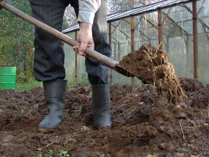 Как правильно копать в огороде: советы бывалых - огород, сад, балкон - медиаплатформа миртесен