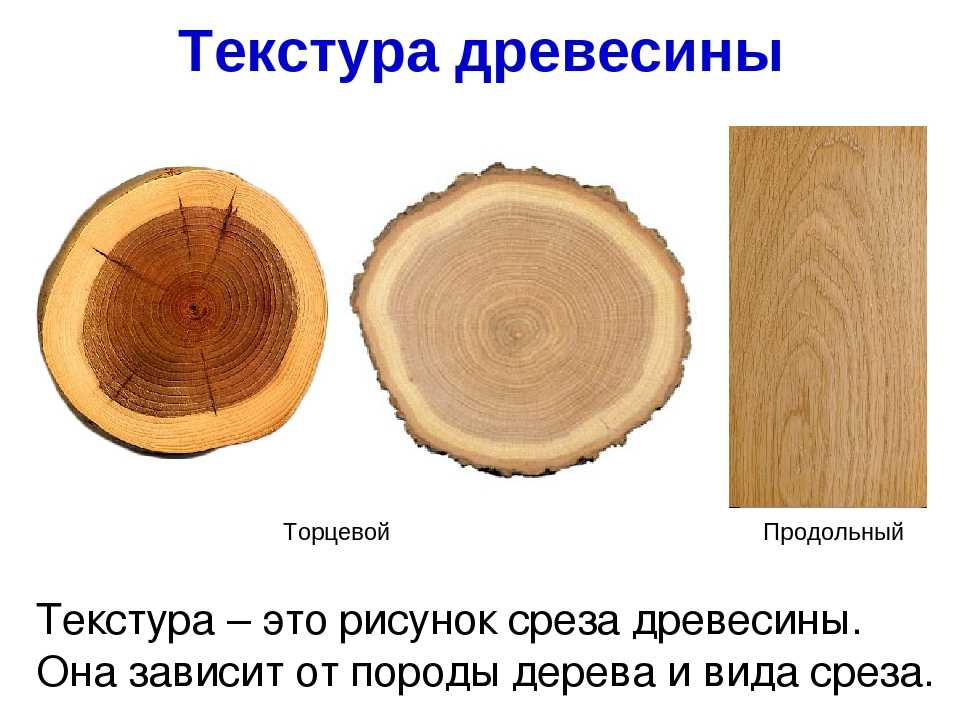 Палисандр: описание дерева, фото, цвет и текстура | строительство. деревянные и др. материалы