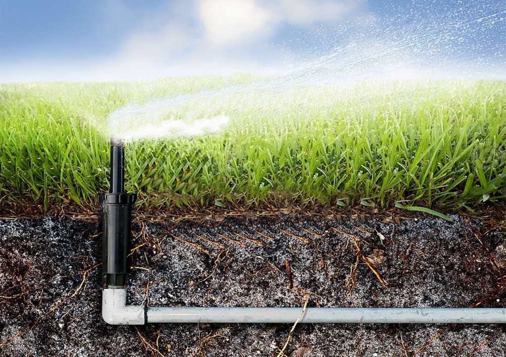 Разбрызгиватели для полива огорода: какой распылитель воды лучше выбрать? виды огородных рассеивателей и их характеристики