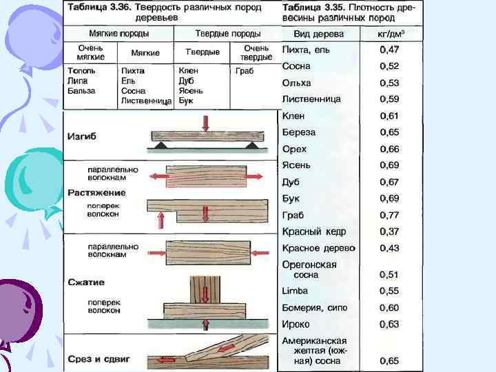 Механические свойства древесины: ударная вязкость, прочность и твердость. применение древесины