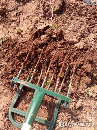 Лопаты для копки: модели для копки земли на огороде и выкапывания картофеля, сравнение механических и электрических разновидностей