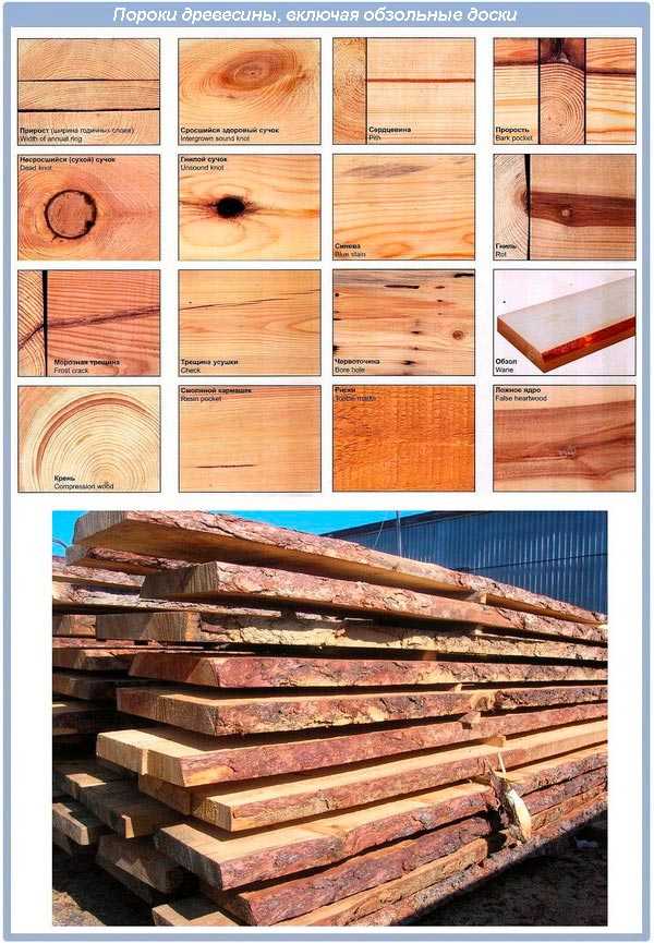 Основные пороки древесины и лучшие средства защиты