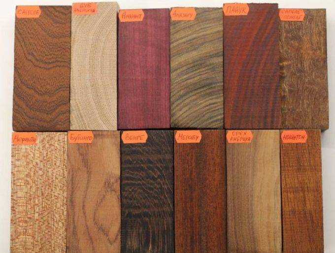 Ценные породы древесины