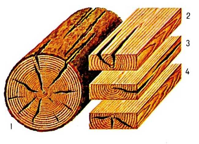 Виды сушки древесины: прямой и косвенный метод