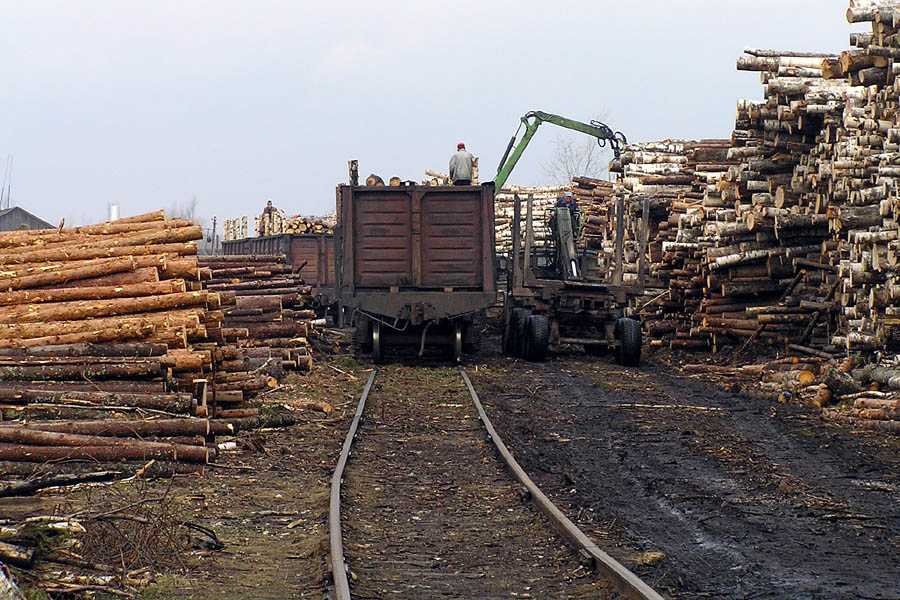 Правила автомобильных перевозок леса, бревен и пиломатериалов | svezem.ru