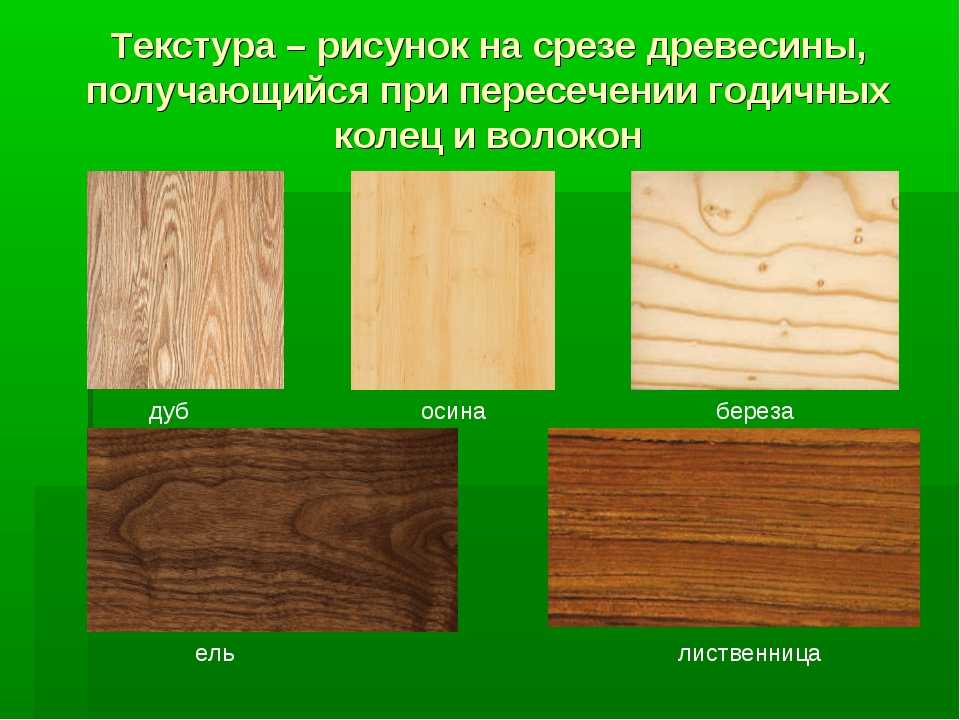 Как выбрать древесину для мебели. обзор с характеристиками