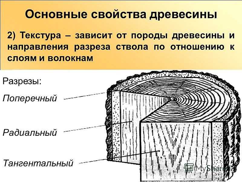 Определение плотности древесины – таблица значений, зависимость от влажности