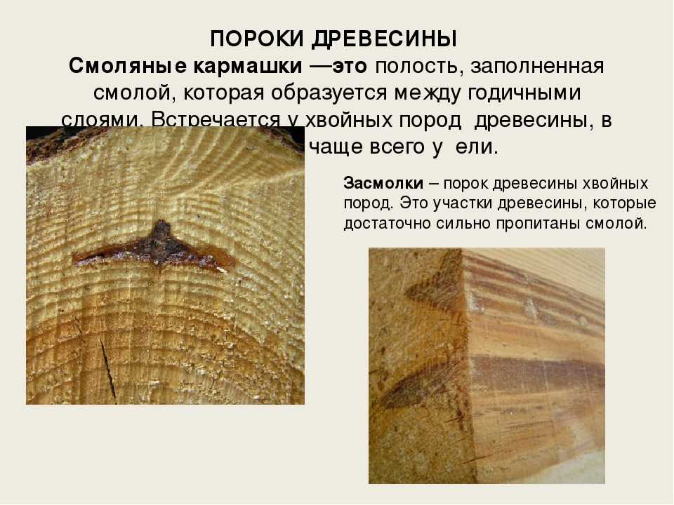 Дефекты древесины: виды, описание и способы устранения