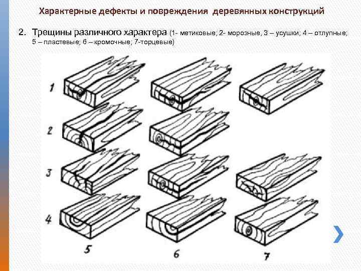 Пороки древесины - древесина