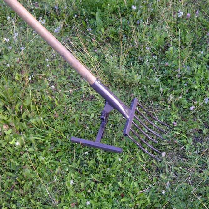 Чудо-лопата: принцип работы копалки, разновидности и преимущества умного инструмента для копки огорода