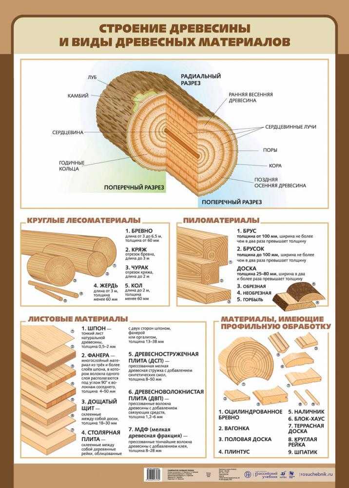 Древесина. свойства, характеристики древесины как конструкционного материала