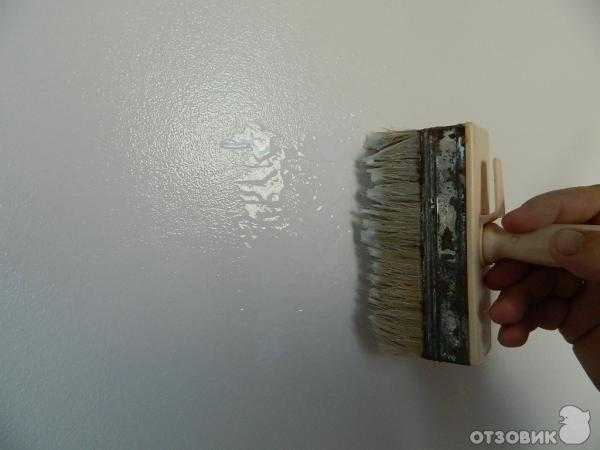 Сколько сохнет водоэмульсионная краска | самоделки на все случаи жизни - notperfect.ru
