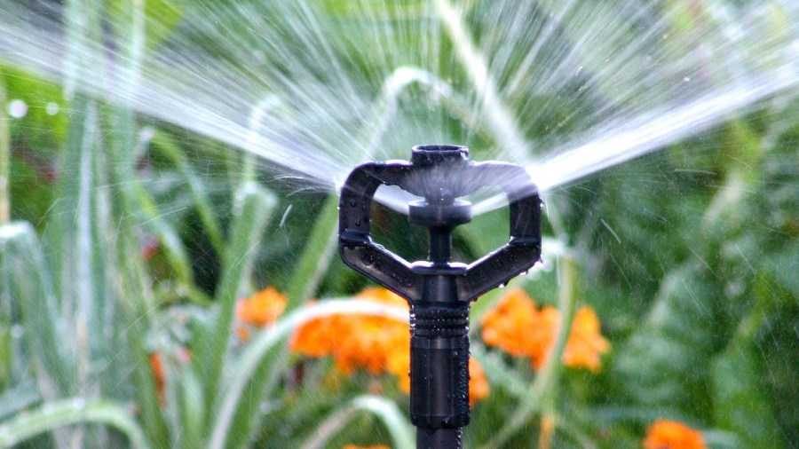 Как выбрать дождеватель для полива: типы и характеристики устройств